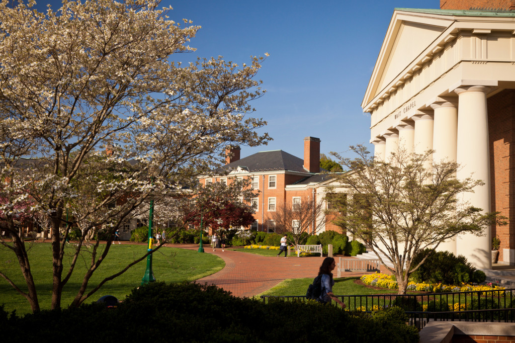pic from wfu.edu